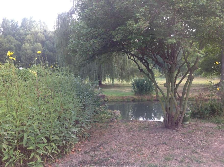 Saint-Hilaire-les-AndresisLe Foulon - Moulin De Charme - 1 Heure 30 De Paris别墅 外观 照片