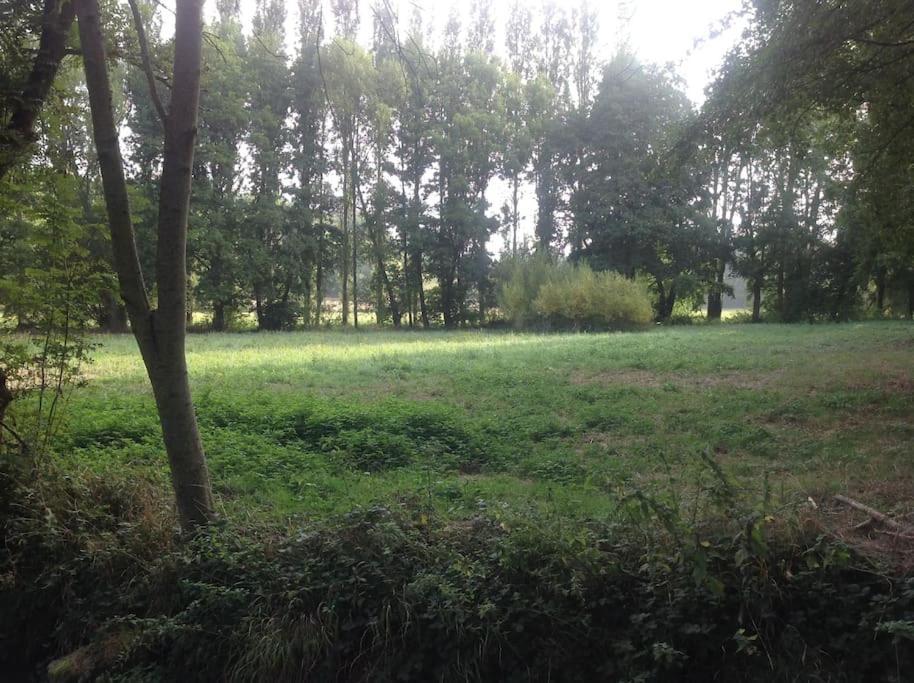 Saint-Hilaire-les-AndresisLe Foulon - Moulin De Charme - 1 Heure 30 De Paris别墅 外观 照片