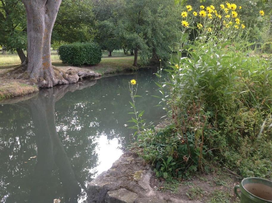 Saint-Hilaire-les-AndresisLe Foulon - Moulin De Charme - 1 Heure 30 De Paris别墅 外观 照片