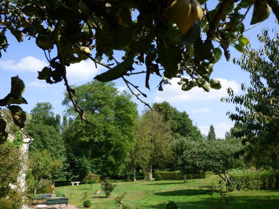Saint-Hilaire-les-AndresisLe Foulon - Moulin De Charme - 1 Heure 30 De Paris别墅 外观 照片